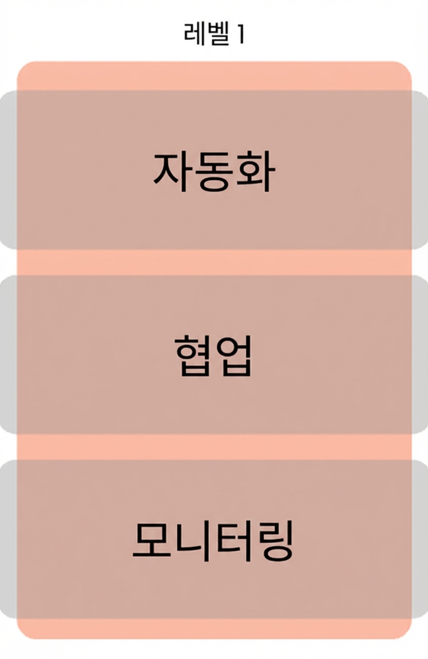 레벨 1 성숙도