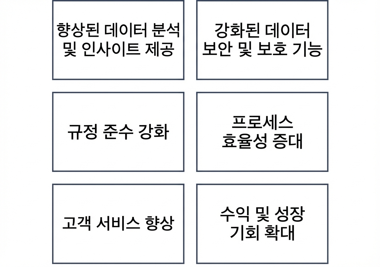 데이터 관리 성숙도의 이점 그래픽