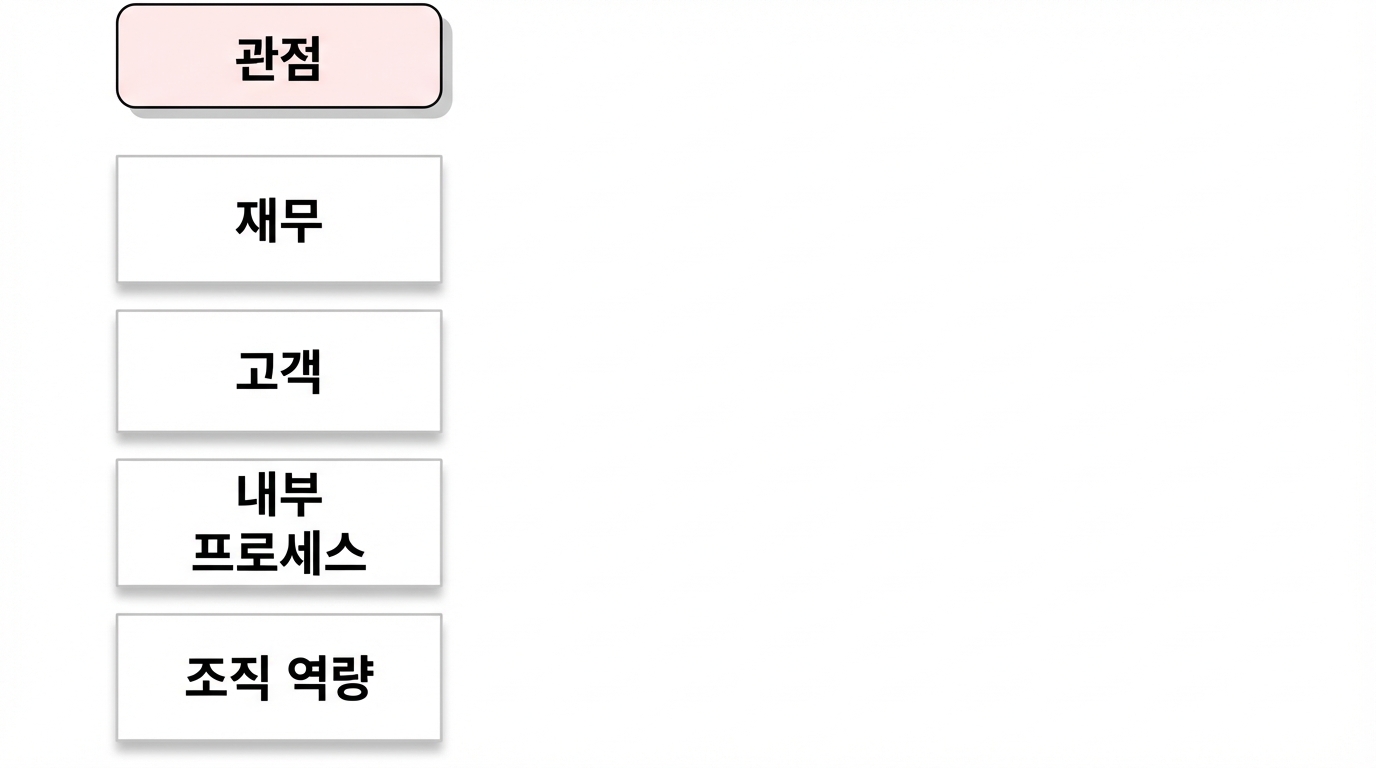 카플란 관점