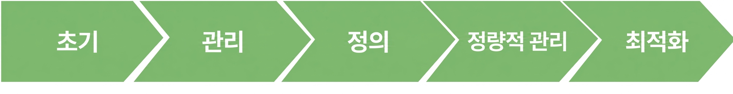 IBM 데이터 성숙도 모델