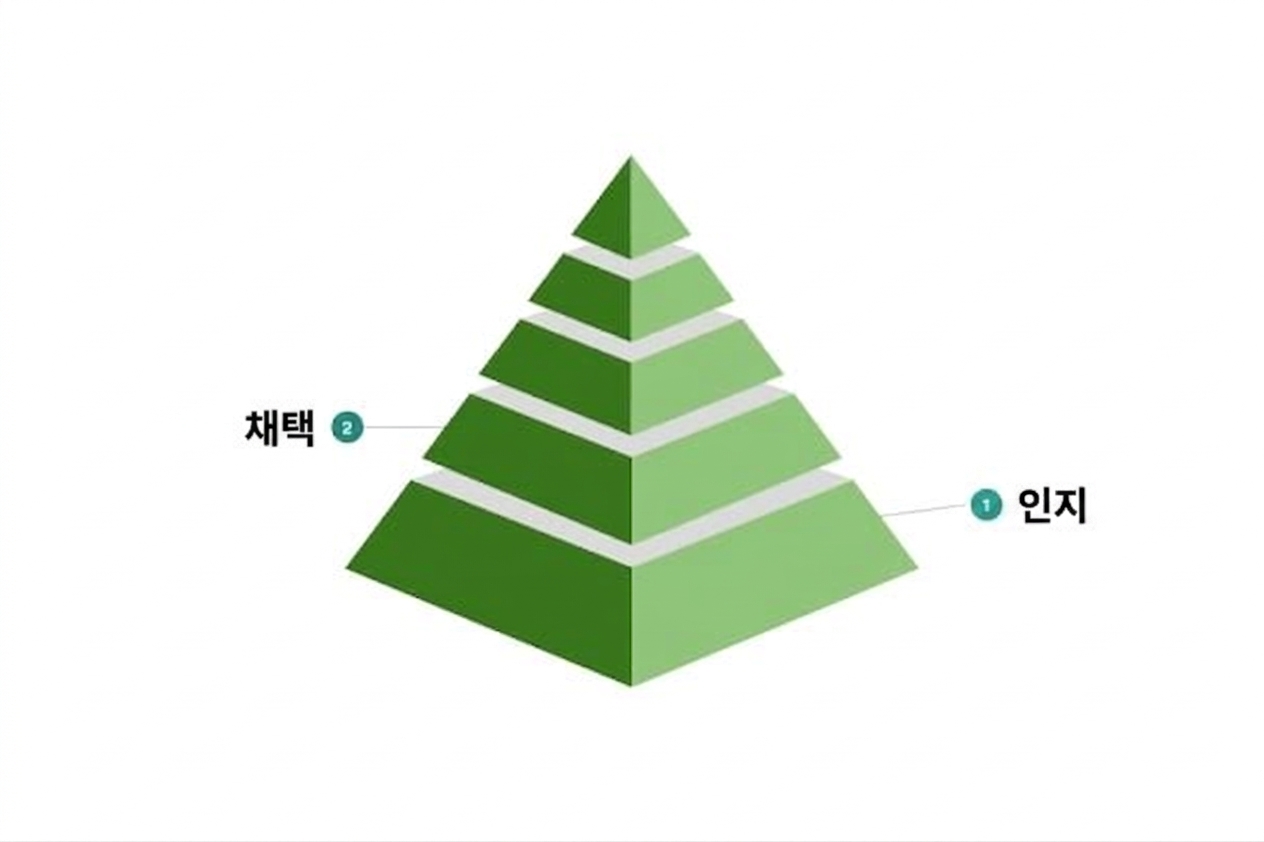 데이터 문화 성숙도 모델의 두 번째 단계.