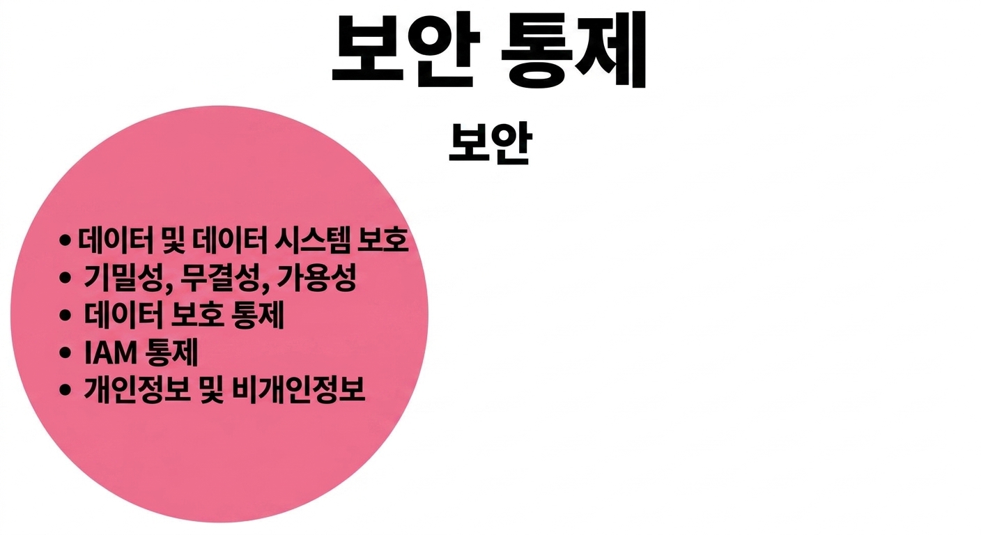보안 통제 원형