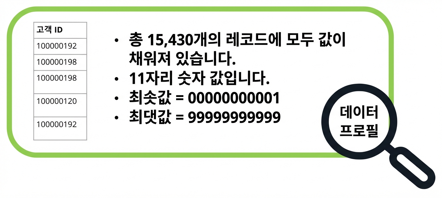 데이터 프로파일 예시