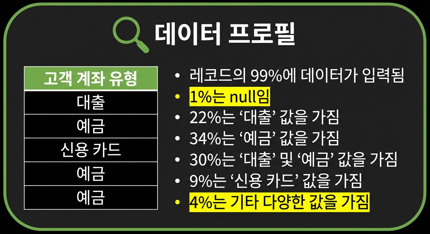 데이터 프로파일 예시