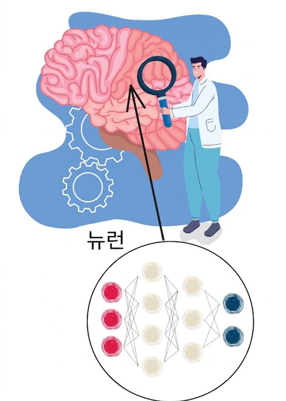 뉴런에 초점을 맞춘 뇌 학습 일러스트