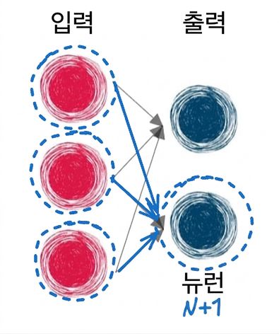 N+1