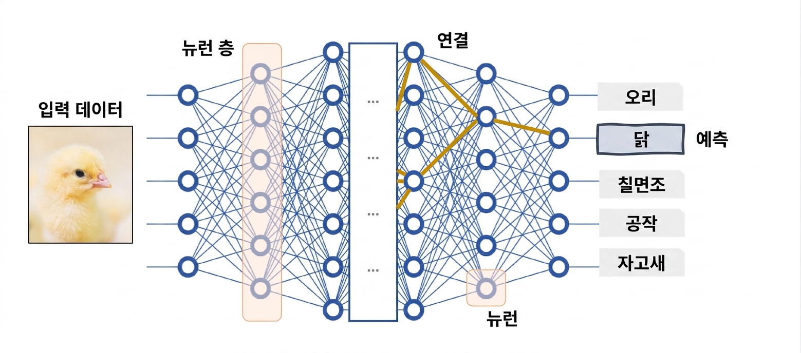 블랙박스 모델로서의 심층 신경망