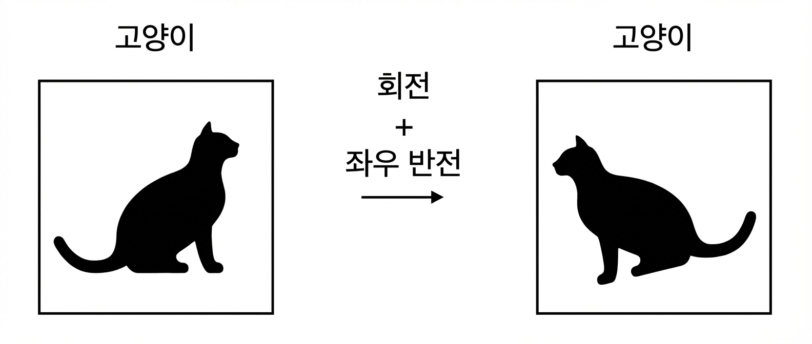 수평 뒤집고 회전한 고양이 이미지.