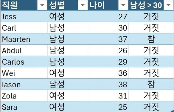 직원의 이름, 성별, 나이와 조건부 수식으로 만들어진 열을 보여주는 DataCo의 HR 샘플 표.