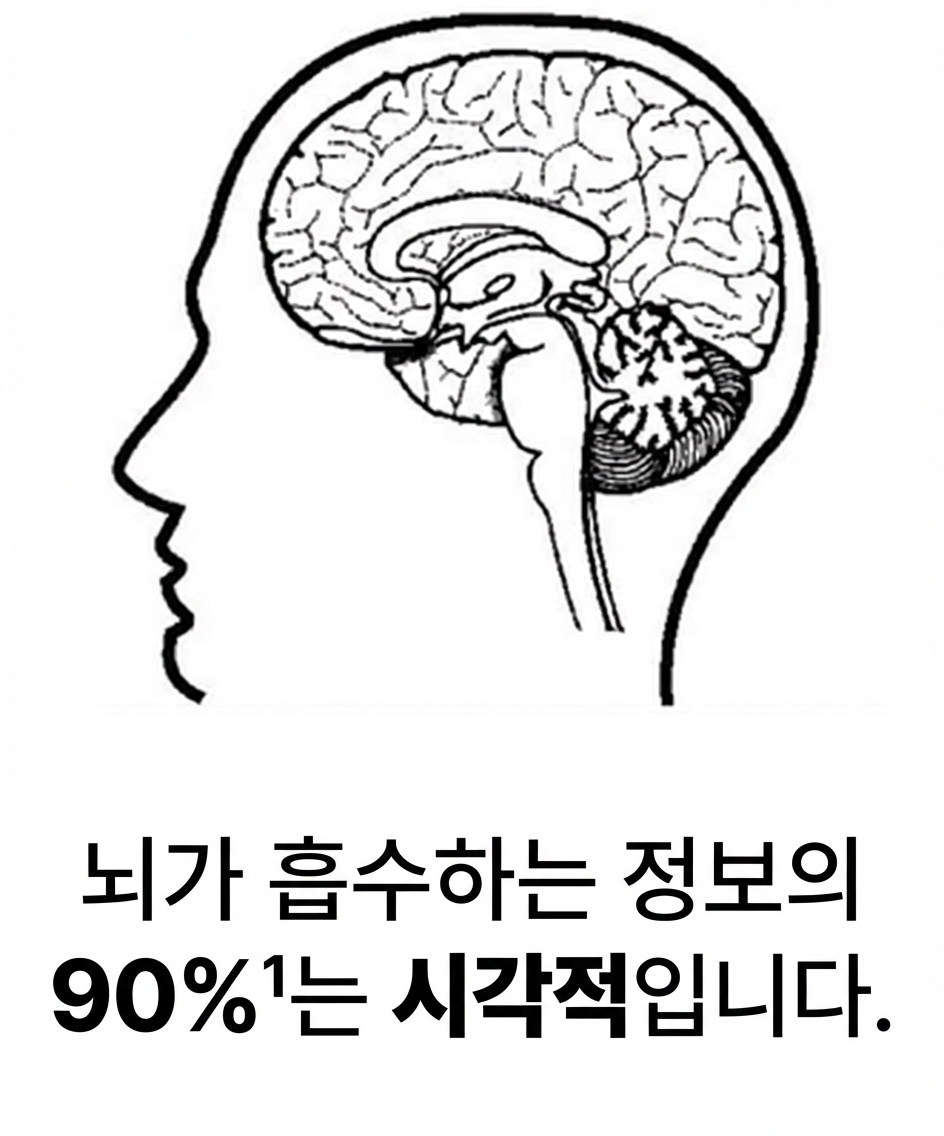 인간 두뇌 이미지
