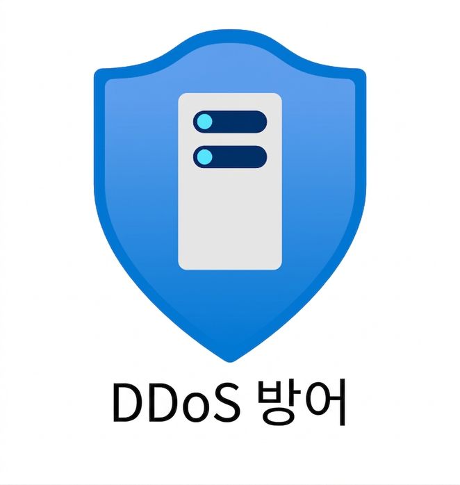 파란 방패, 하단에 ddos protection 텍스트