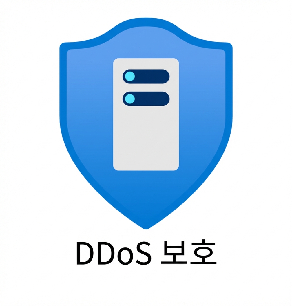 파란 방패, 하단에 ddos protection 텍스트
