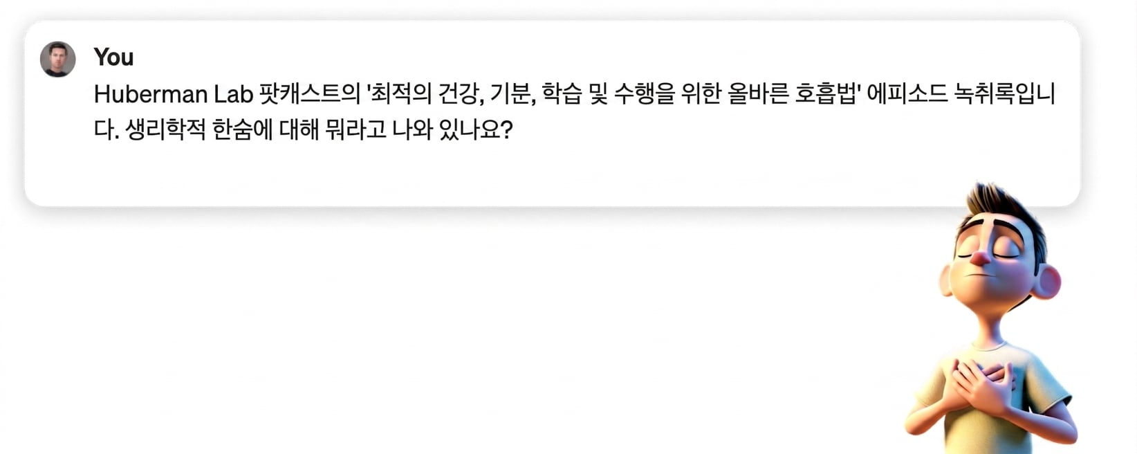 전사문에서 제공된 핵심 요점을 챗봇이 바꿔 말하도록 요청하는 프롬프트.