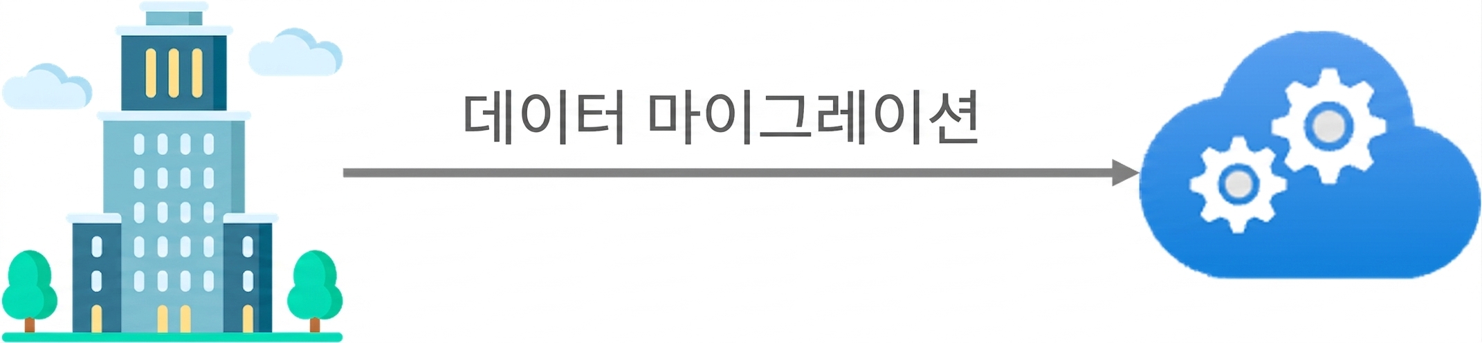 데이터 마이그레이션 옵션