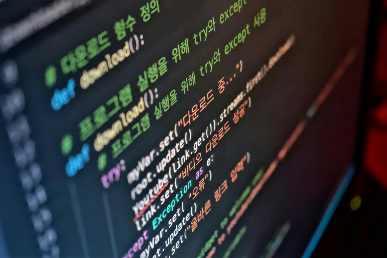 Python 코드가 화면에 표시됨