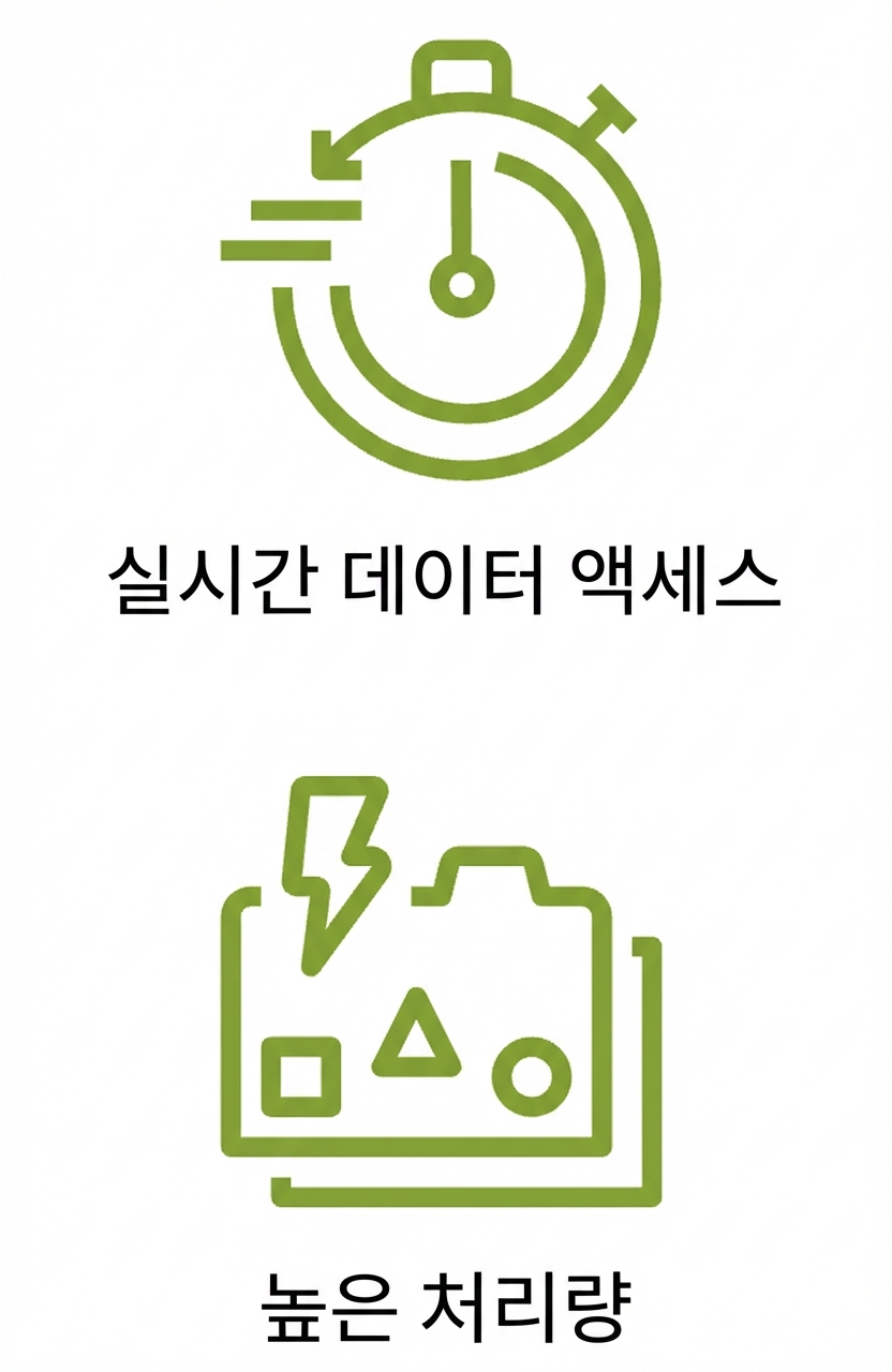 실시간 데이터 액세스와 높은 처리량 아이콘 두 개.