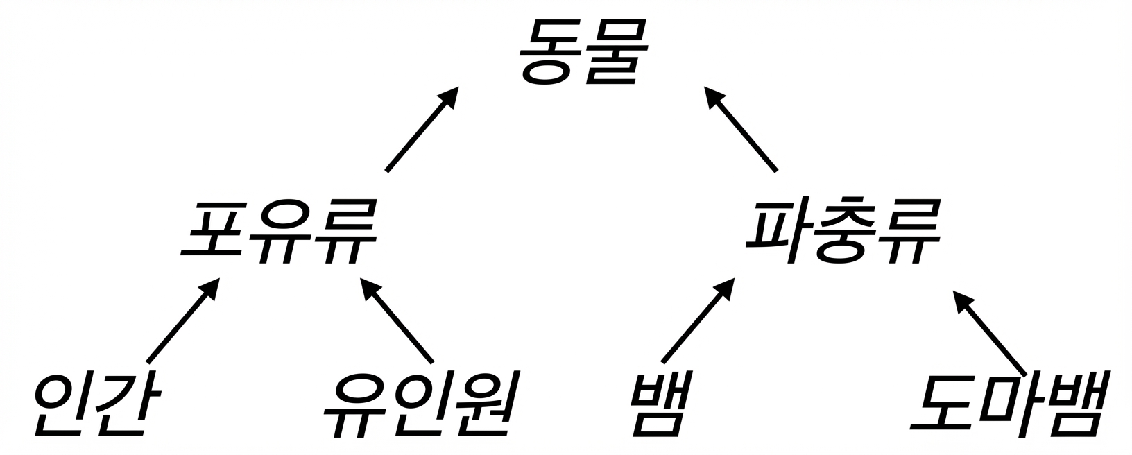 동물의 계층적 트리