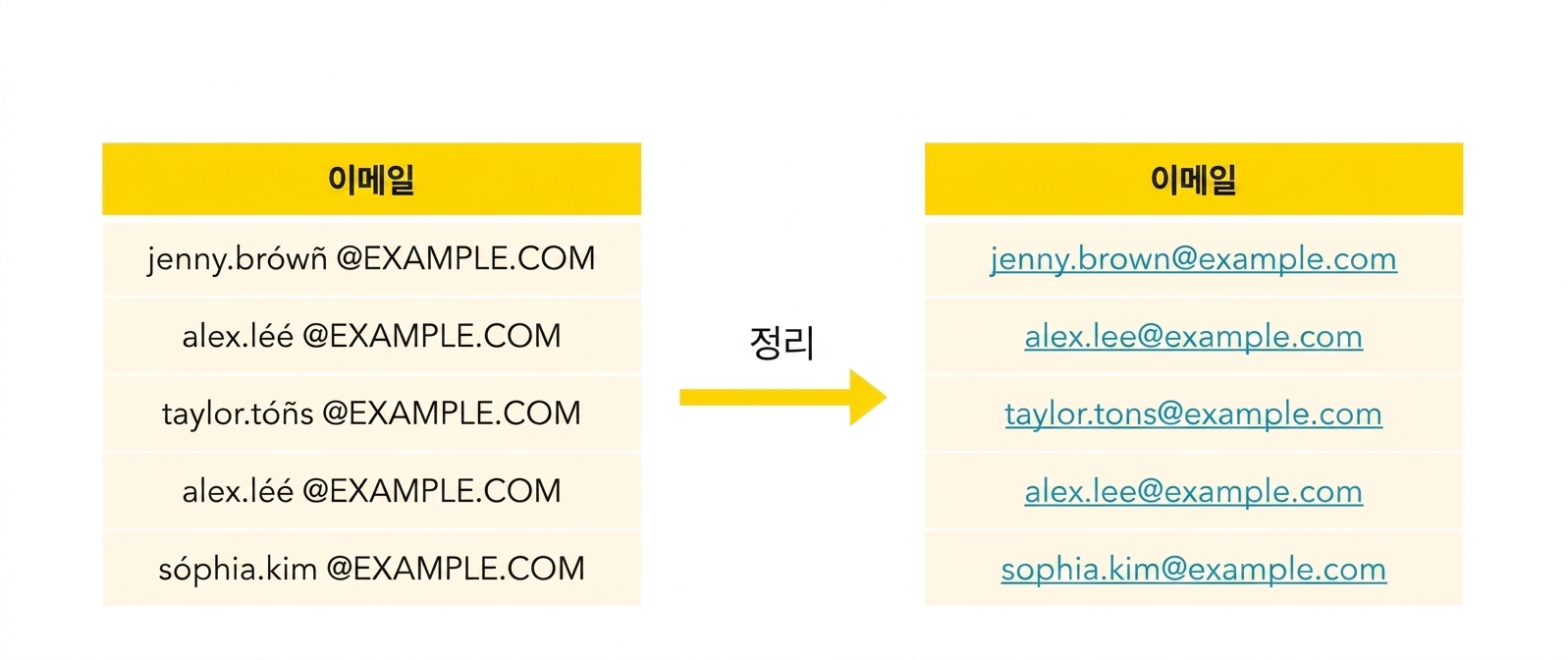 이메일 정제