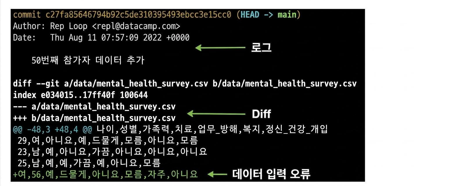 git show 출력: 위에 git log, 아래에 git diff, 맨 아래에 잘못된 데이터 입력 강조