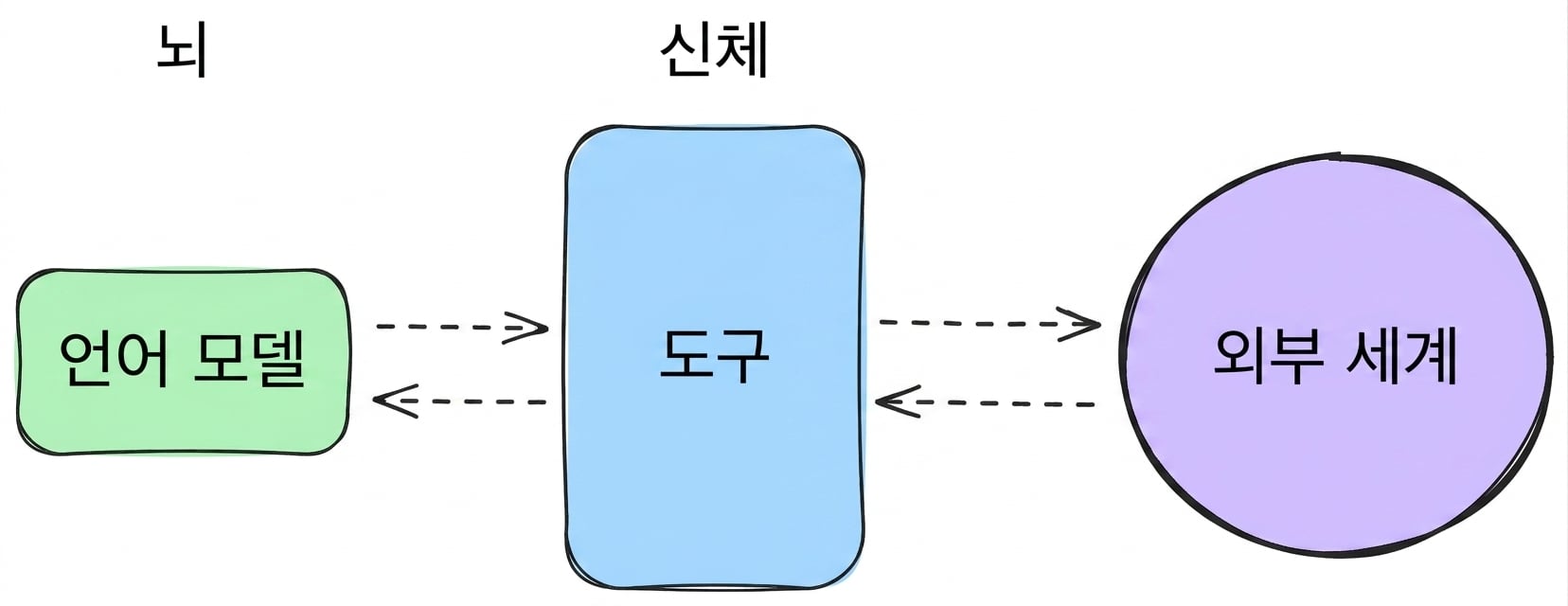 brain_body