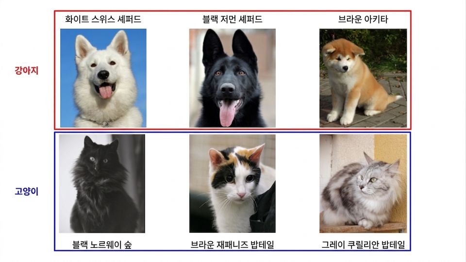 종별 개와 고양이