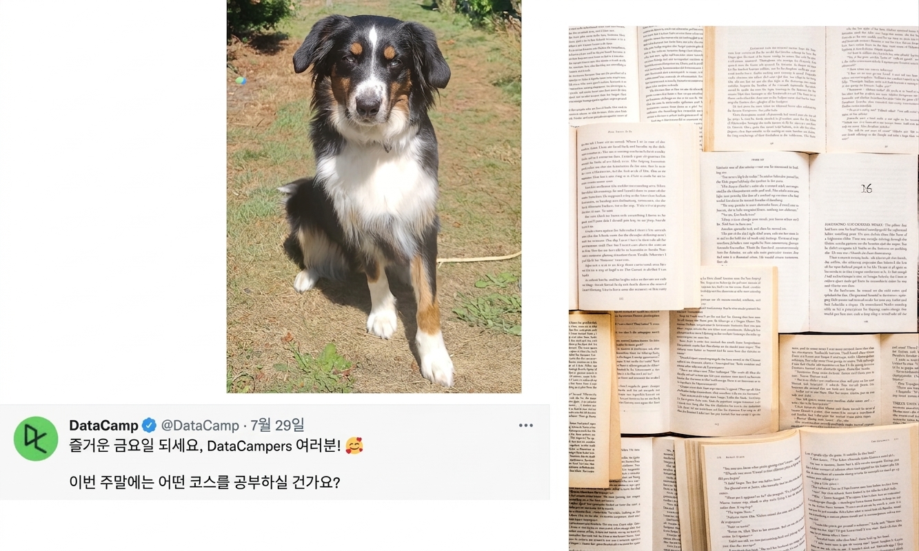 An photo of a dog, a collection of books and a tweet