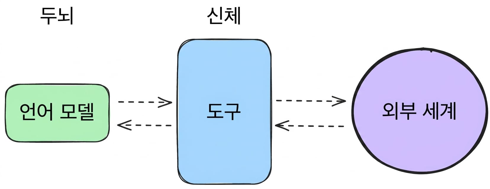 brain_body