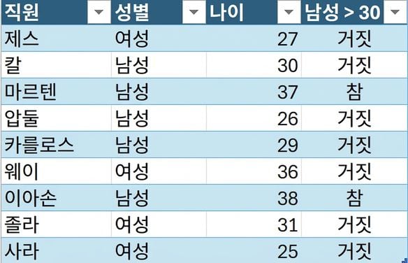 직원의 이름, 성별, 나이와 조건부 수식으로 만들어진 열을 보여주는 DataCo의 HR 샘플 표.