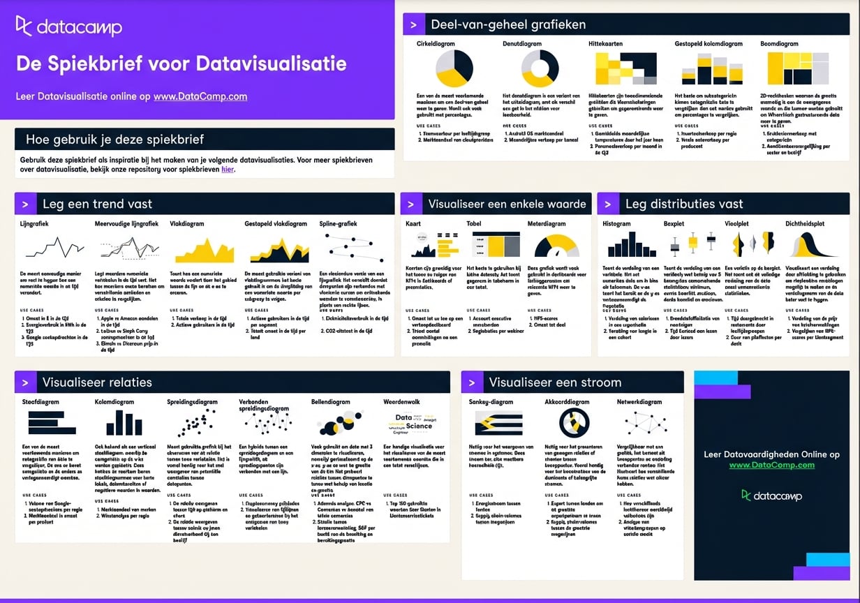Spiekbriefje datavisualisatie