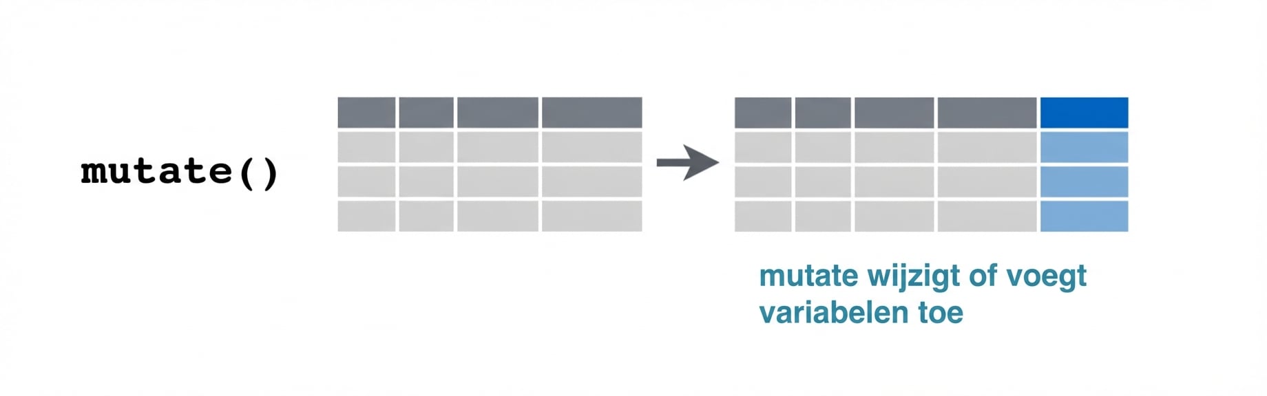 mutate-werkwoord2.png