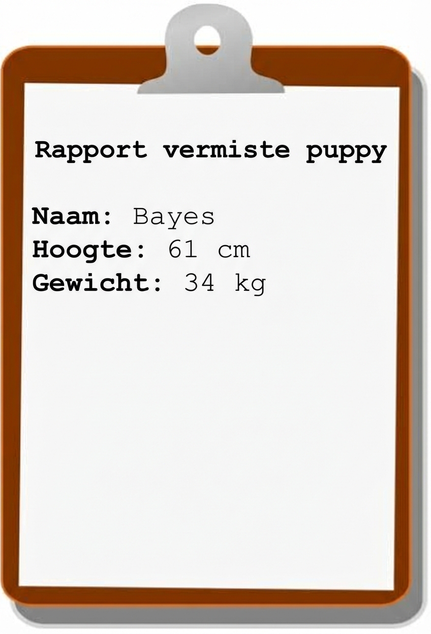 vermiste-puppy-melding