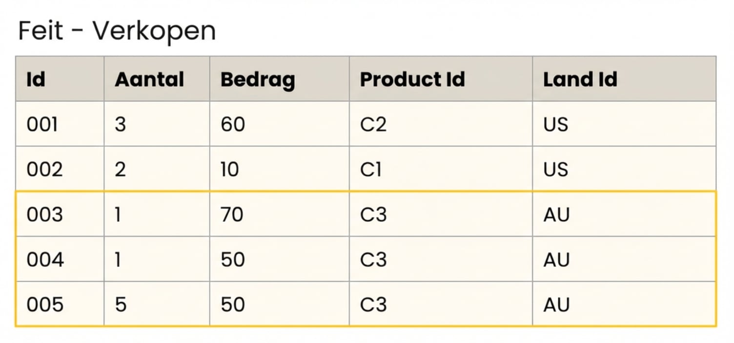 Gedetailleerde tabelweergave van fact sales.