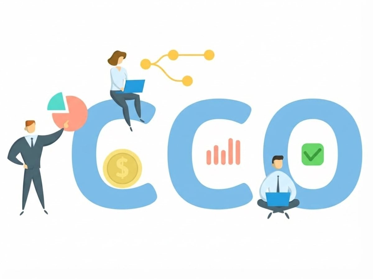 Cartoon van de letters CCO, met visuals en mensen eromheen.