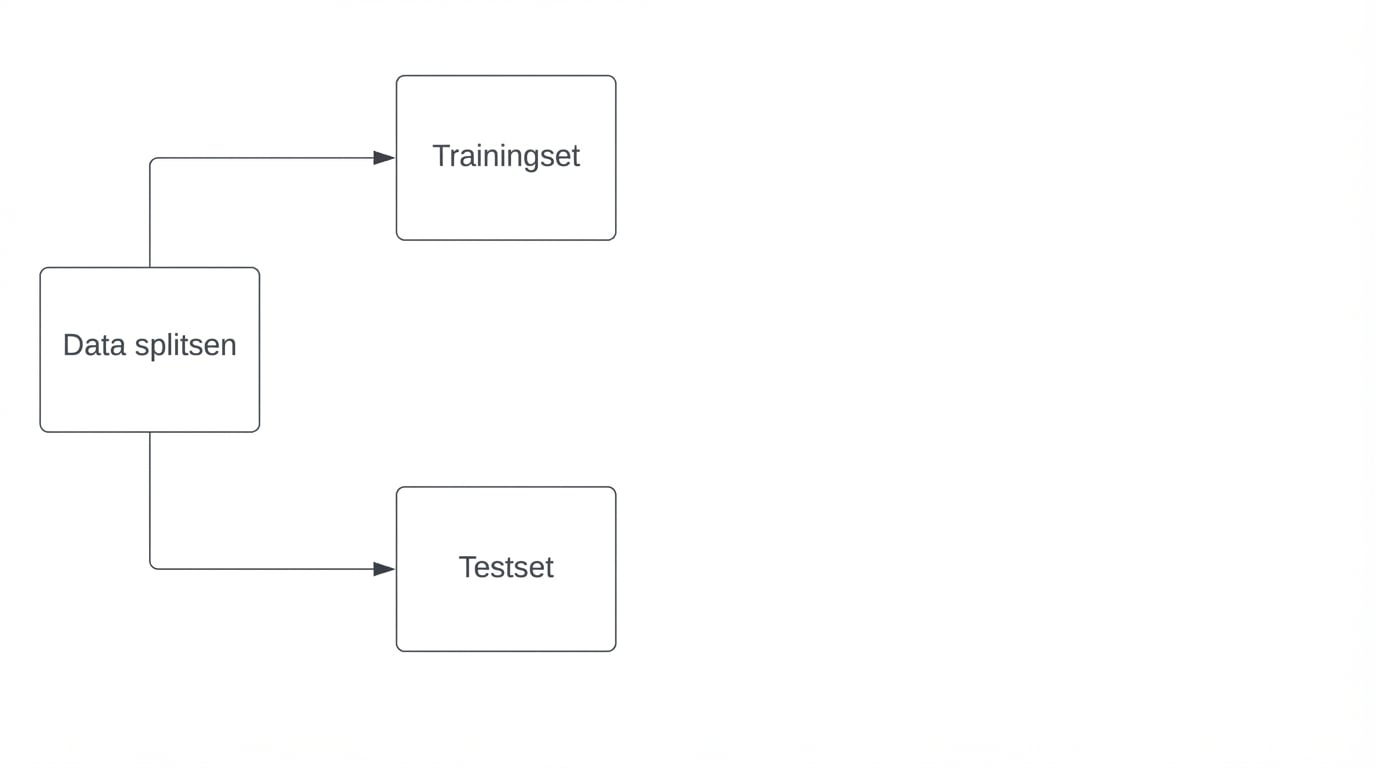 data gesplitst in een trainingsset en testset