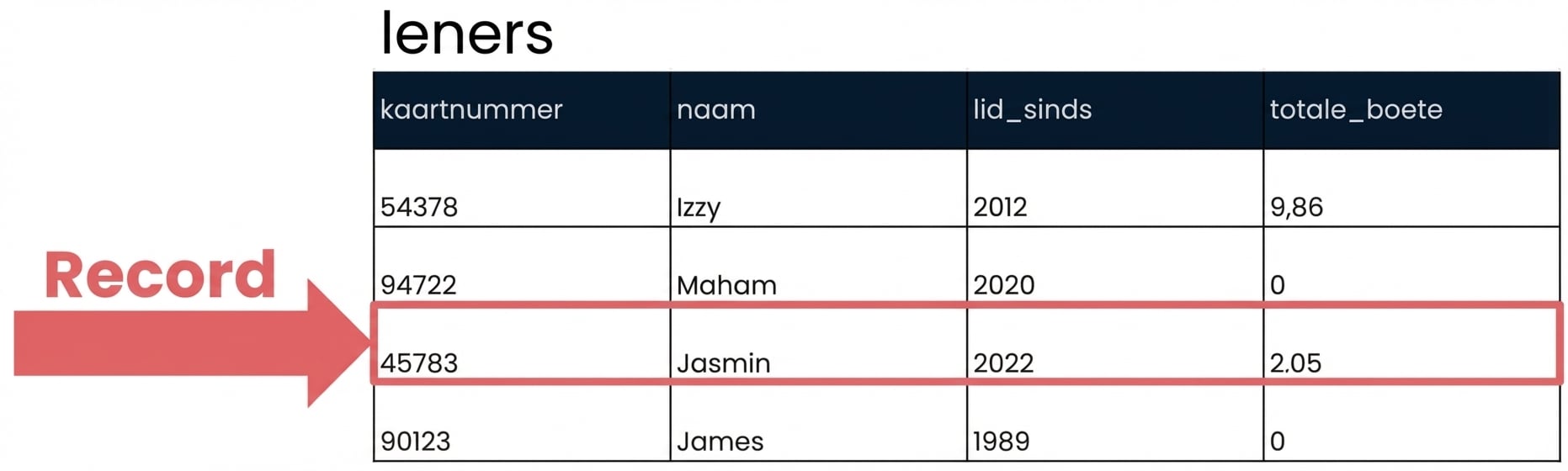 de tabel patrons met één record gemarkeerd