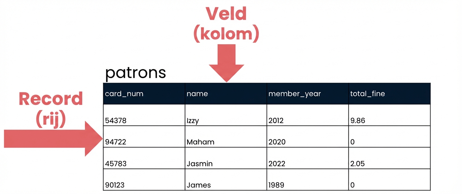 de tabel patrons met records en velden aangeduid
