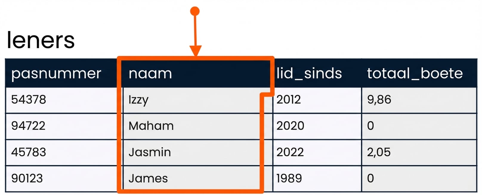 SELECT het veld name