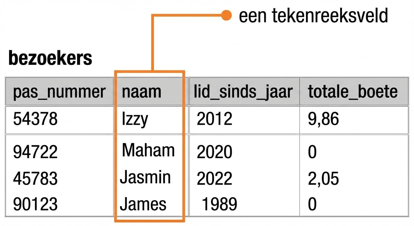 de patrons-tabel met het veld name gemarkeerd als voorbeeld van een stringveld