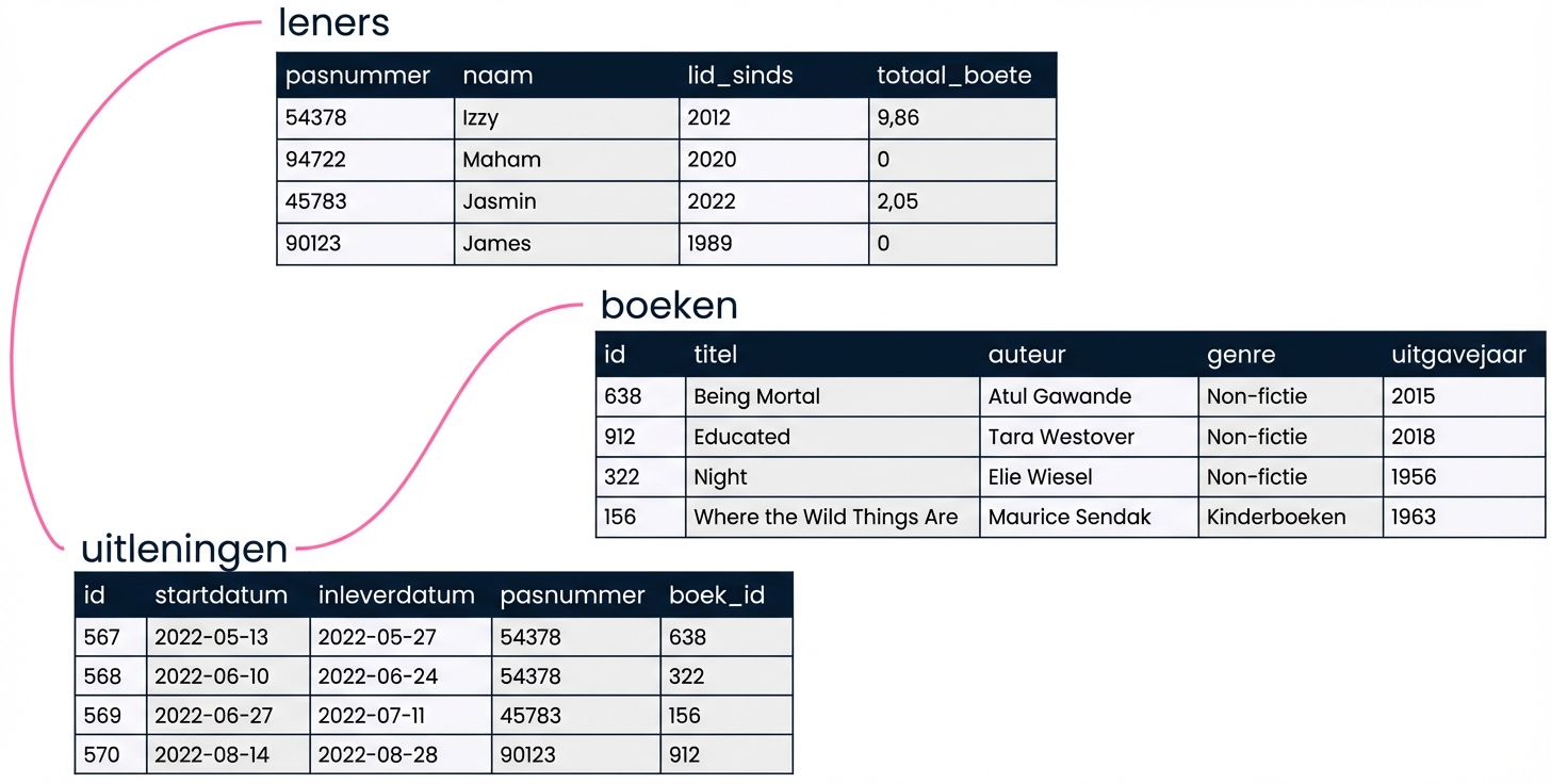 de relationele database van de bibliotheek