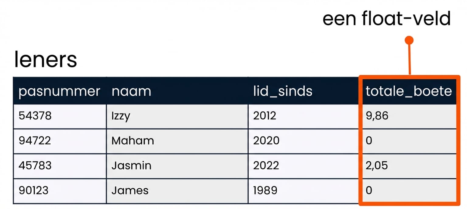 de patrons-tabel met het veld total_fine gemarkeerd als voorbeeld van een float-veld