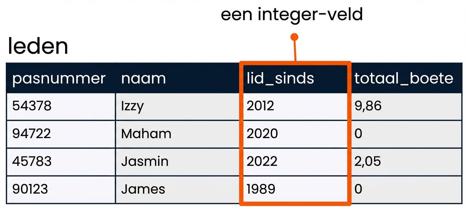 de patrons-tabel met het veld member_year gemarkeerd als voorbeeld van een integer-veld