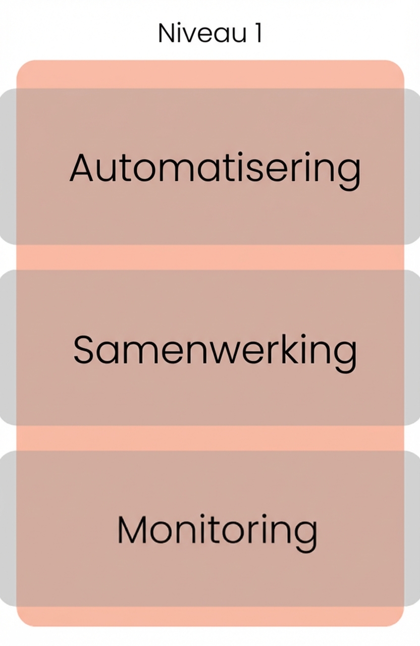 Niveau 1 volwassenheid