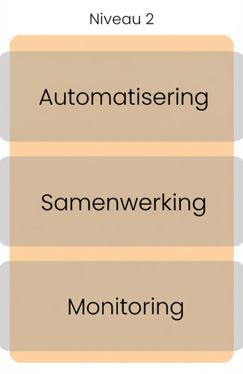 Niveau 2 volwassenheid