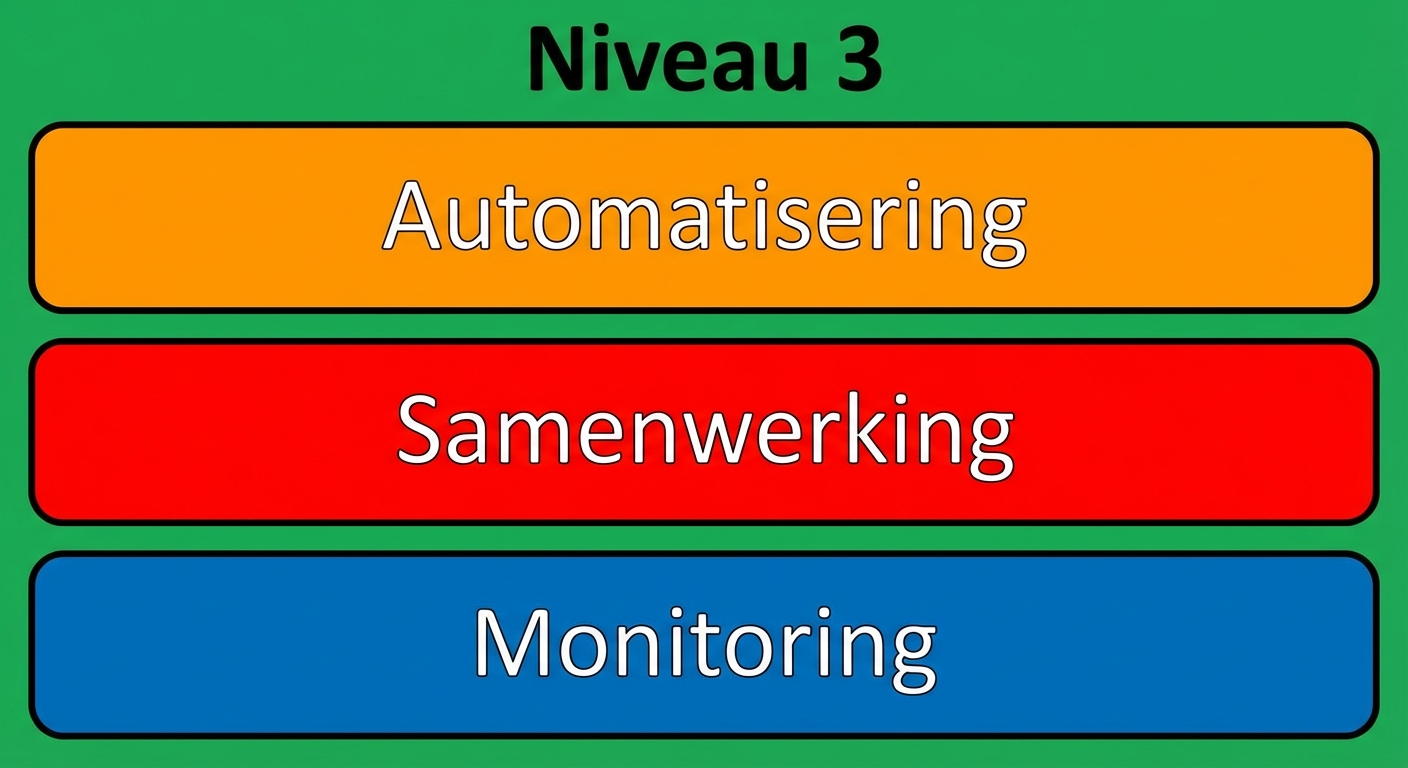 Niveau 3 volwassenheid