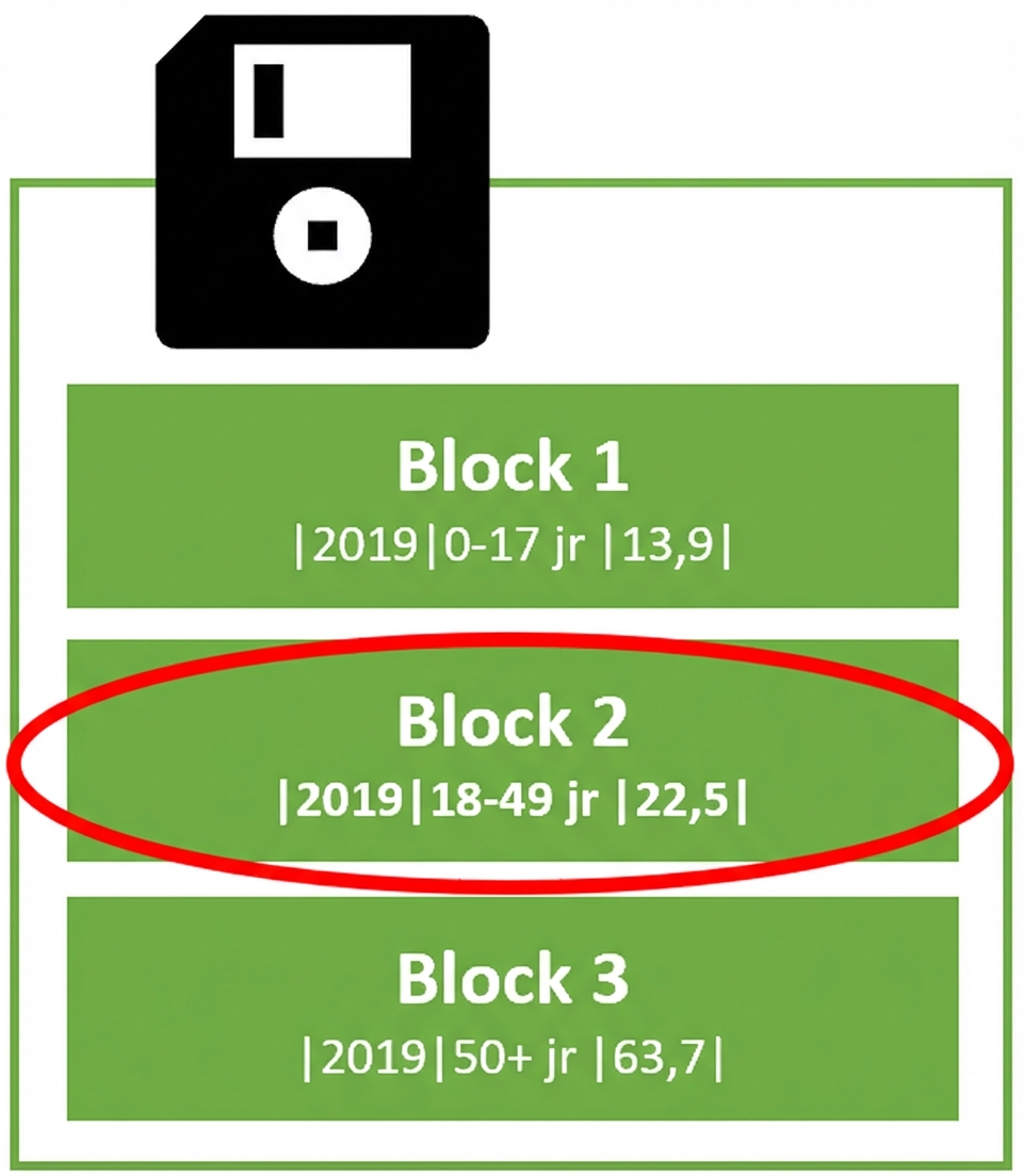 Symbolische afbeelding van een harde schijf met meerdere blokken opslag met in elk blok een rij opgeslagen