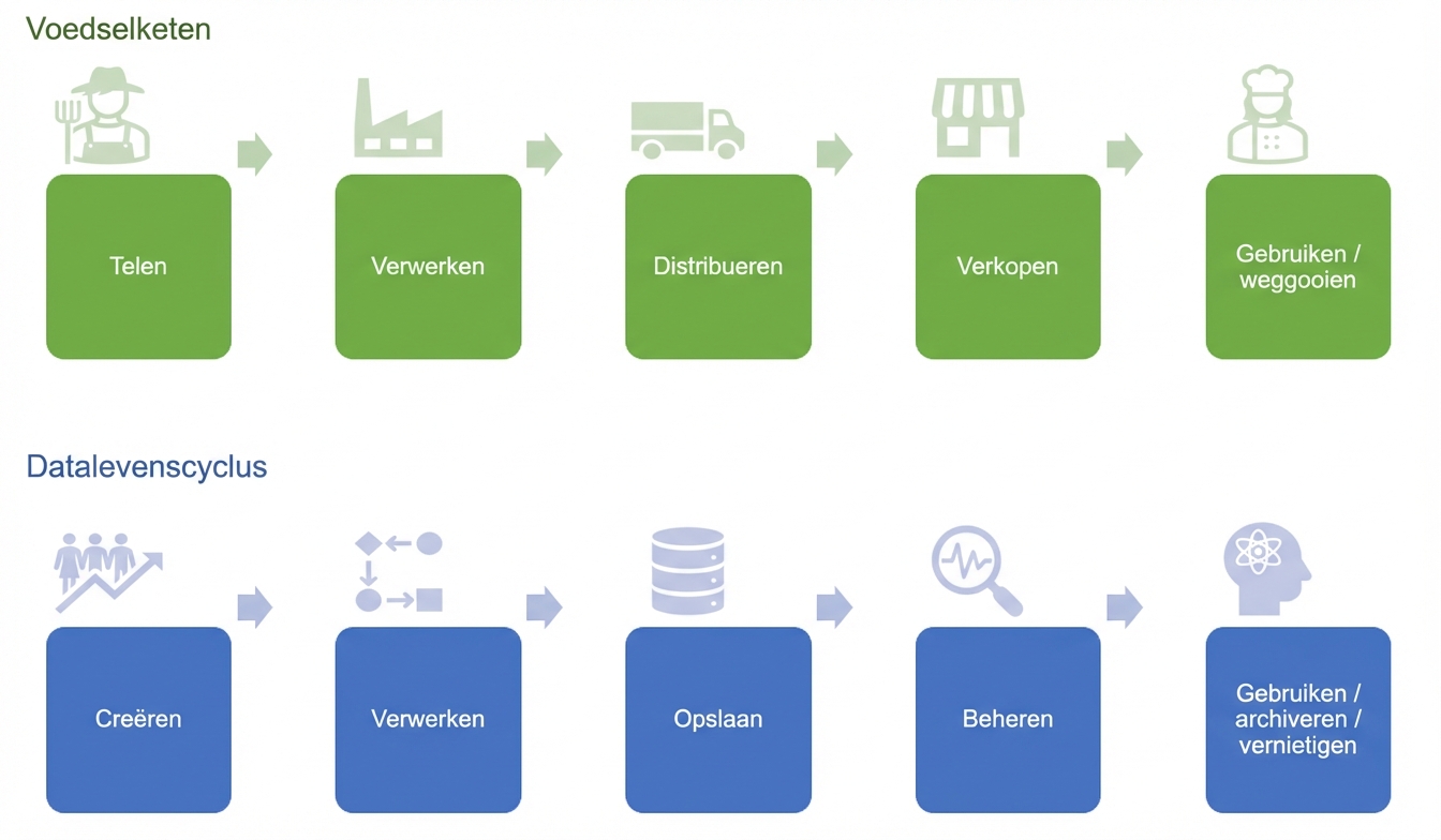 De voedselketen en de datalevenscyclus
