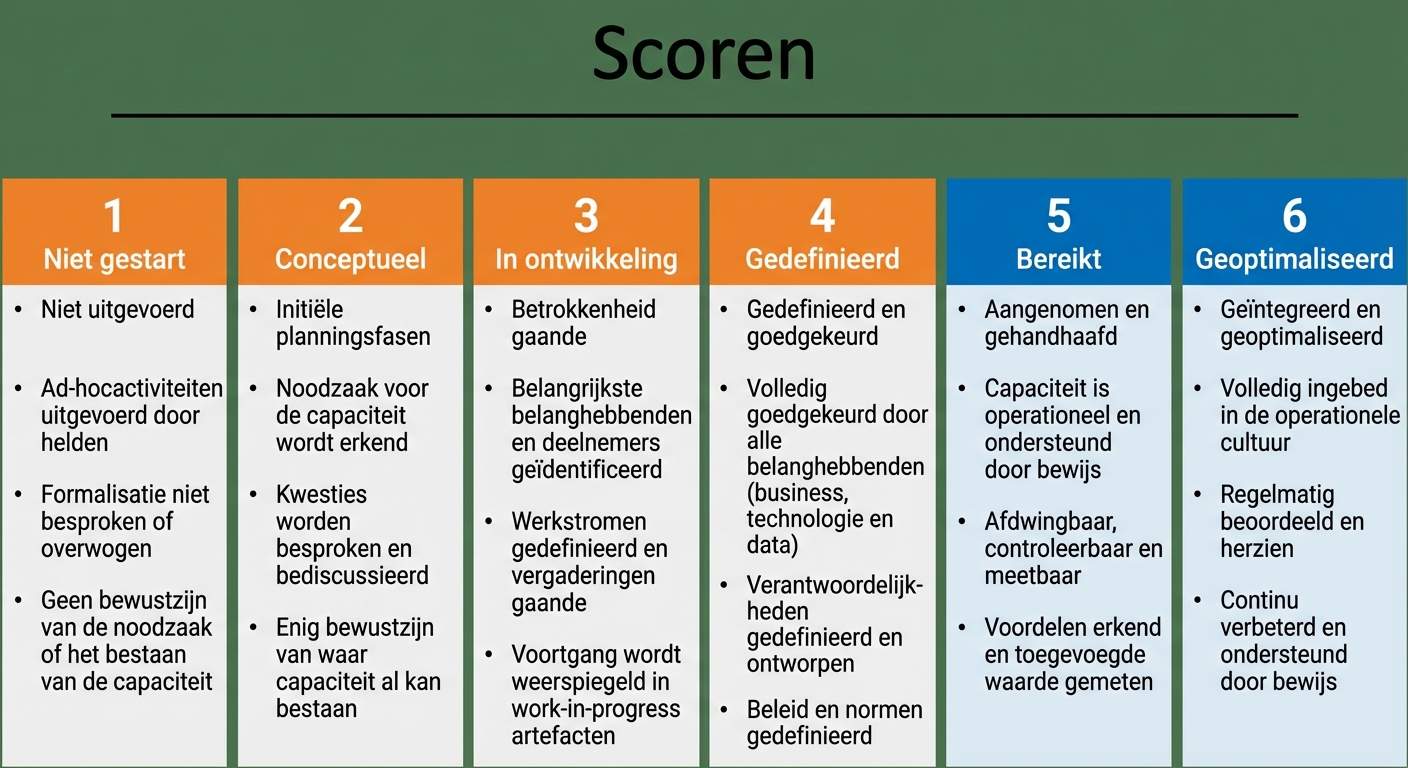 Een grafiek met de DCAM-beoordelingsrubriek