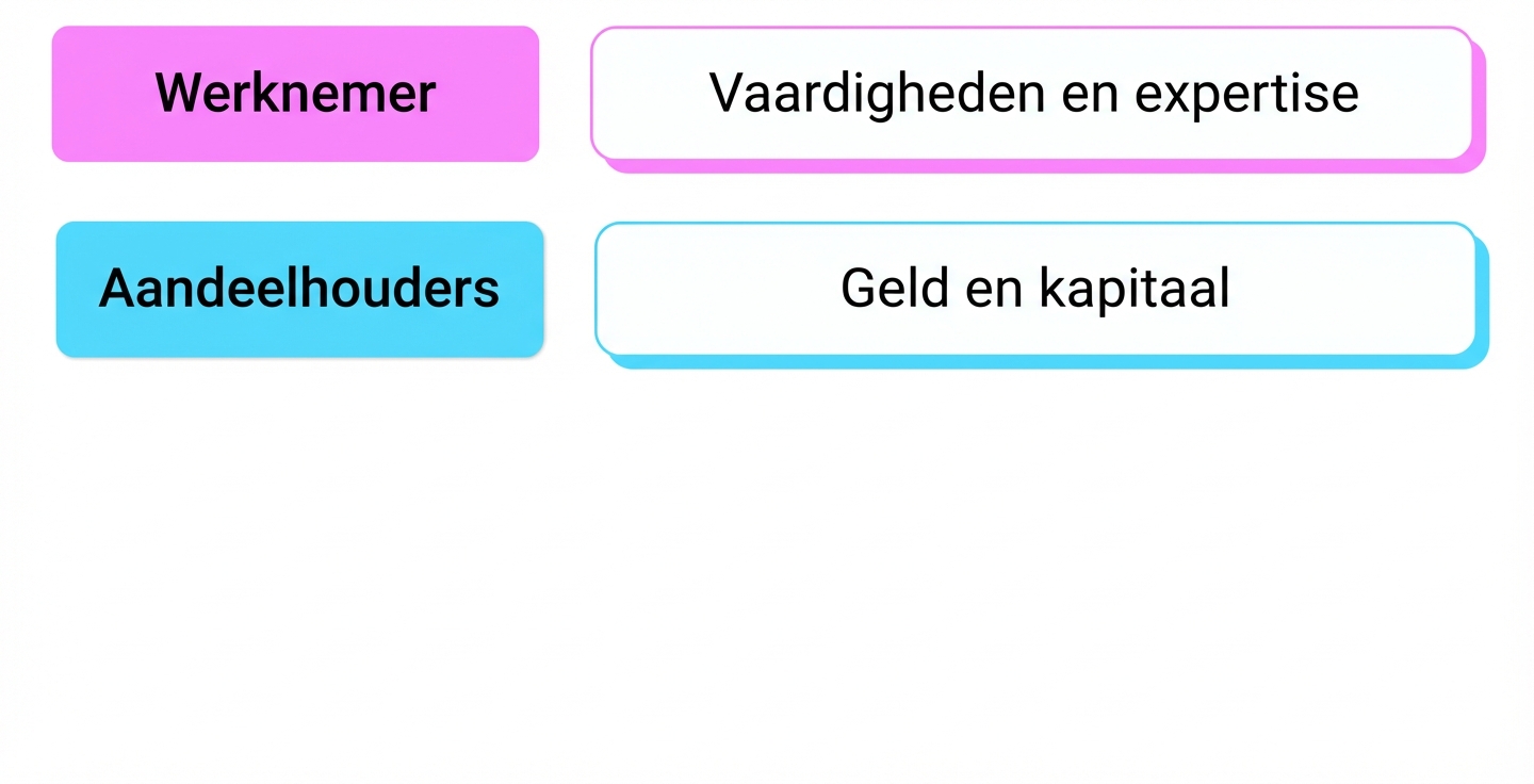 vaardigheden