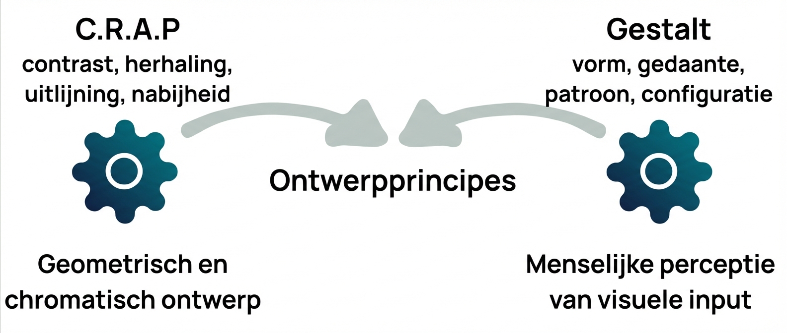 principes