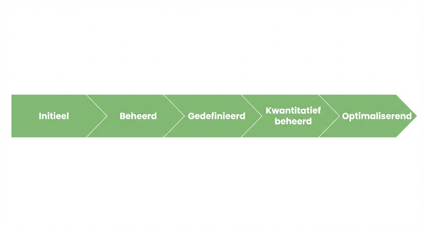 IBM Data Maturity Model